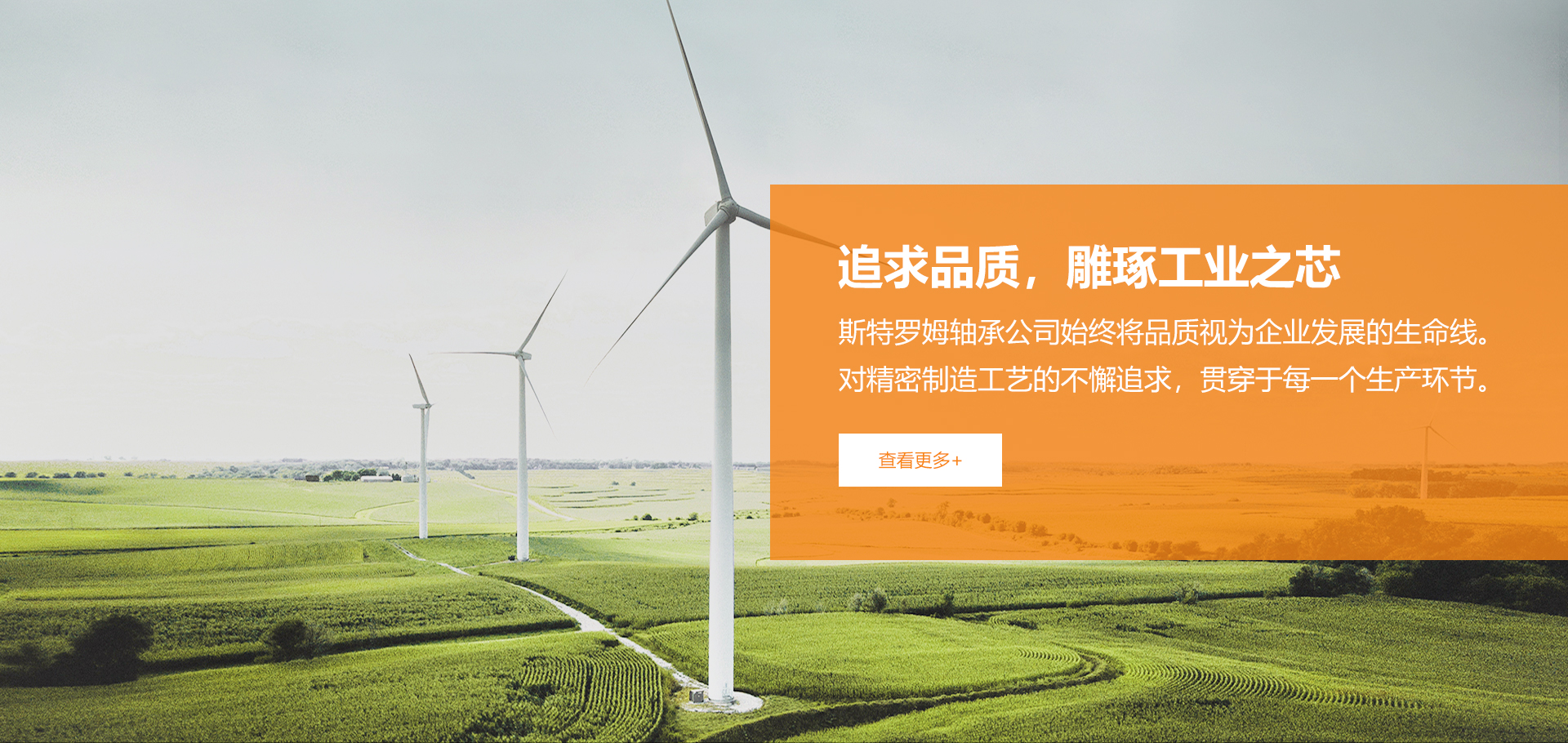 斯特罗姆轴承有限公司